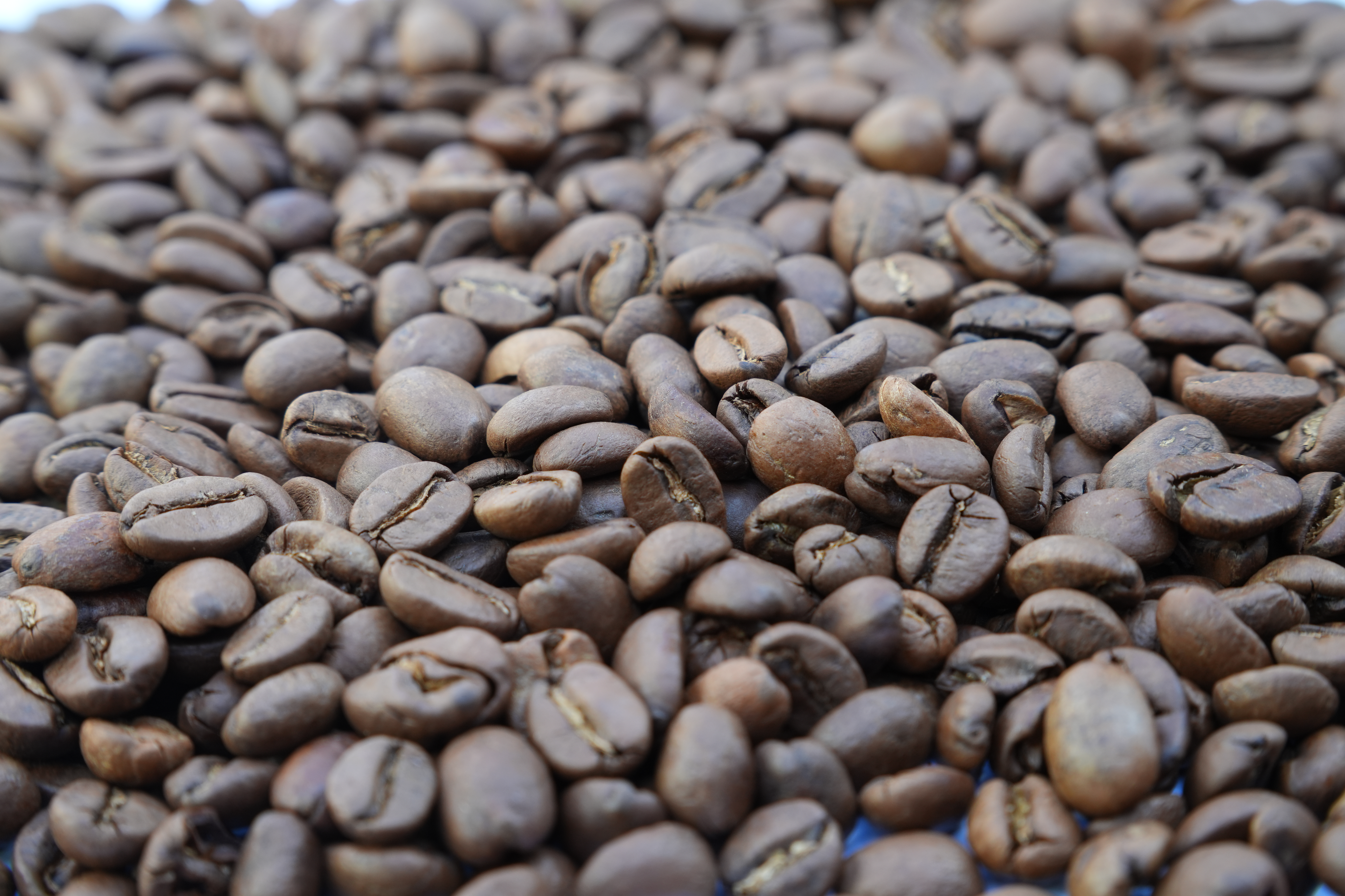 Roasted Arabica Beans