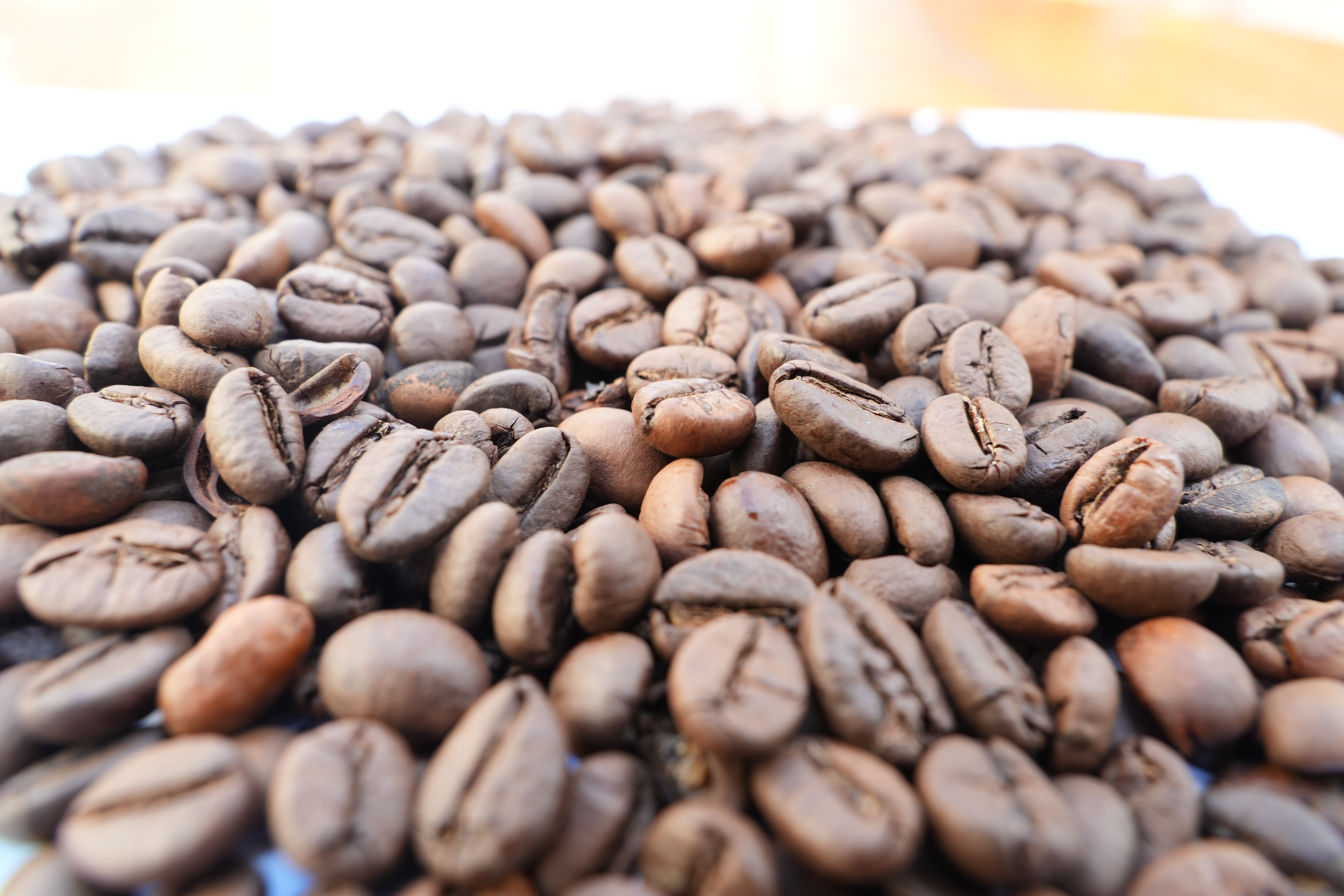 Roasted Robusta Beans