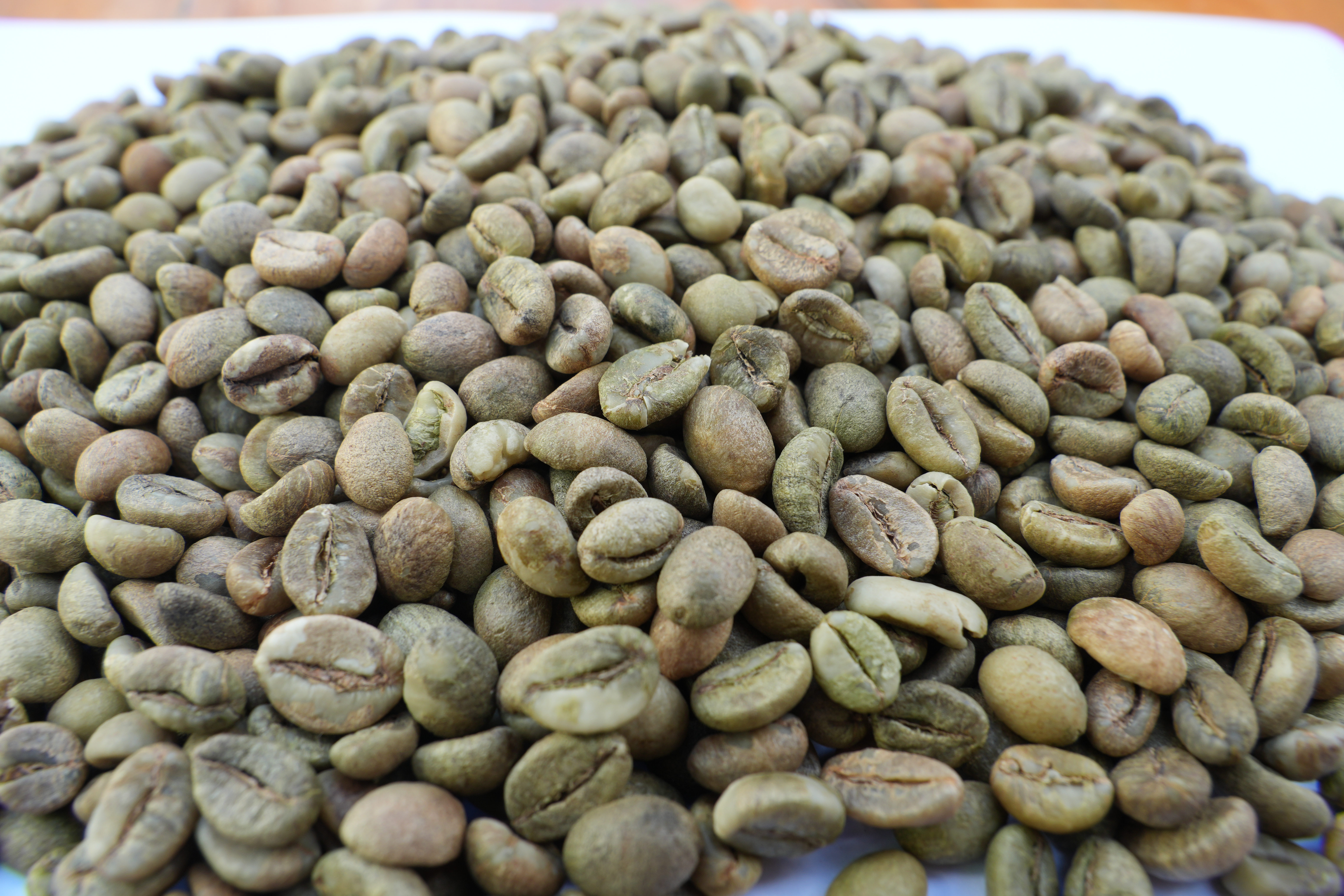 Green Robusta Beans